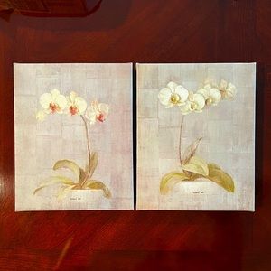 Elegant Orchids Prints on Canvas by Danhui Nai